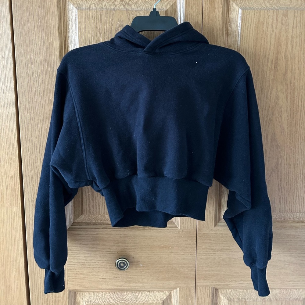 Aritzia tna cropped hoodie